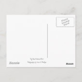 Carte postale Escalade du désert (Dos)