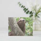 Carte Postale Escalade Sloth (Debout devant)