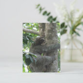 Carte postale Escalade Sloth (Debout devant)