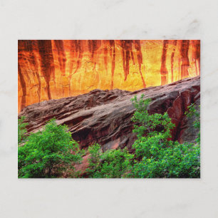 Carte Postale Escalante Neon Canyon et feuillage   Utah
