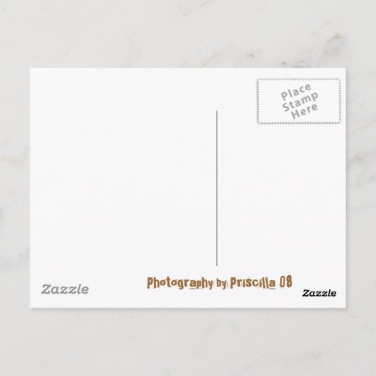 Carte Postale Escalier, À, Ciel (Dos)