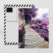 Carte Postale escalier de la glycine (Devant / Derrière)