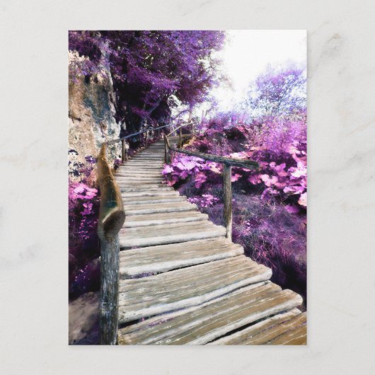 Carte Postale escalier de la glycine (Devant)