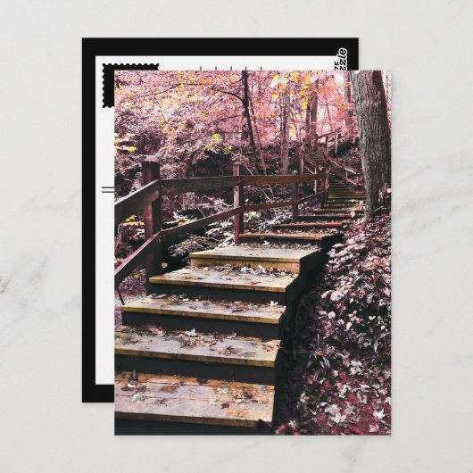 Carte Postale escalier rêve (Devant / Derrière)