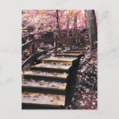 Carte Postale escalier rêve (Devant)