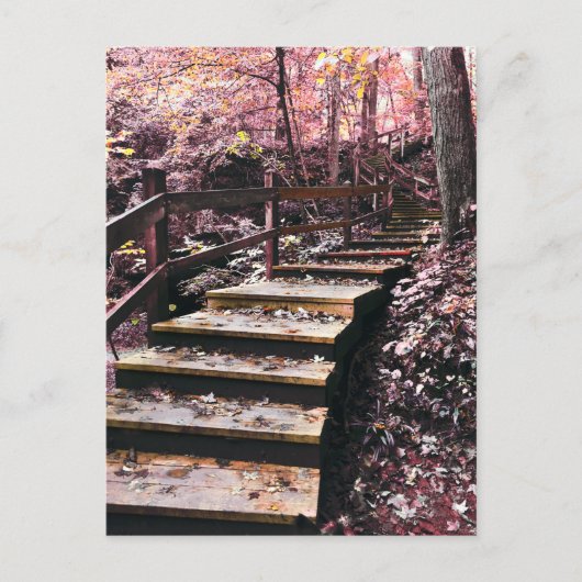 Carte Postale escalier rêve (Devant)