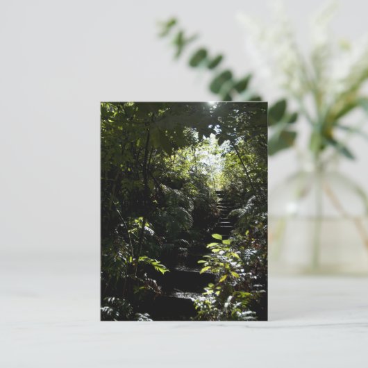 Carte Postale Escalier rustique/sentier en forêt, soleil (Debout devant)