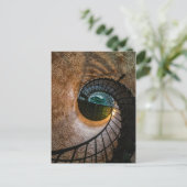 Carte Postale Escaliers du phare de Corolla (Debout devant)