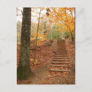 Carte Postale Escaliers en bois magique