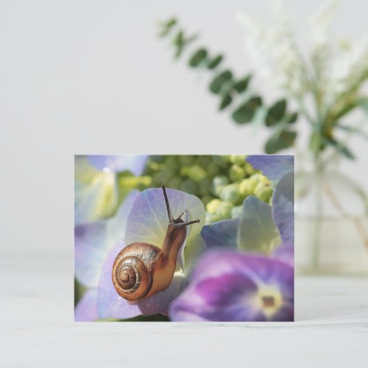 Carte Postale Escargot (Debout devant)