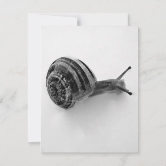 Carte postale escargot (Dos)