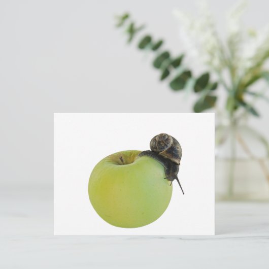Carte Postale Escargot et pomme (Debout devant)