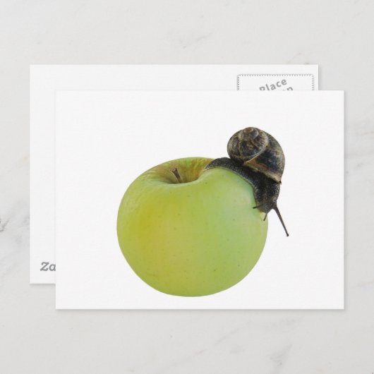Carte Postale Escargot et pomme (Devant / Derrière)