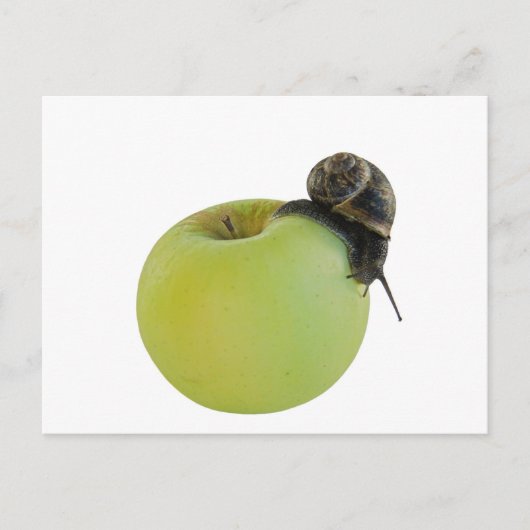 Carte Postale Escargot et pomme (Devant)