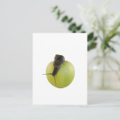 Carte Postale Escargot et pomme (Debout devant)