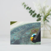 Carte Postale Escargot jaune visitant un cadran solaire (Debout devant)