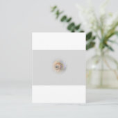 Carte Postale escargot Schnecke Muschel Shell (Debout devant)