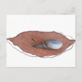 Carte Postale Escargot sous matière déchirée (Devant)