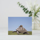 Carte Postale Escargot sur une tortue (Debout devant)