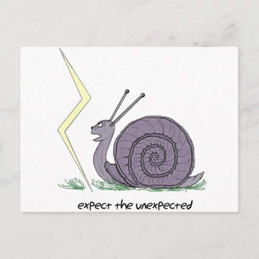 Carte Postale Escargot surpris (Devant)