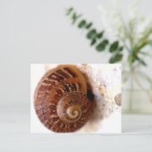 Carte Postale Escargotez-le ! (Debout devant)