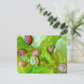 Carte Postale Escargots sur laitue (Debout devant)