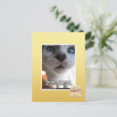 Carte Postale Espace personnel (Debout devant)