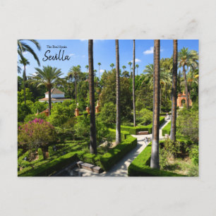 Carte Postale Espagne - Séville