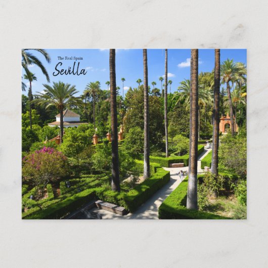 Carte Postale Espagne - Séville (Devant)