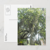 Carte Postale Espagnol Moss Savannah Géorgie (Devant / Derrière)