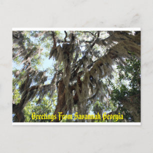 Carte Postale Espagnol Moss Vieux Sud