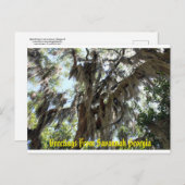 Carte Postale Espagnol Moss Vieux Sud (Devant / Derrière)