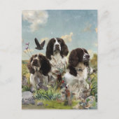 Carte Postale Espagnol Springer anglais, Art (Devant)