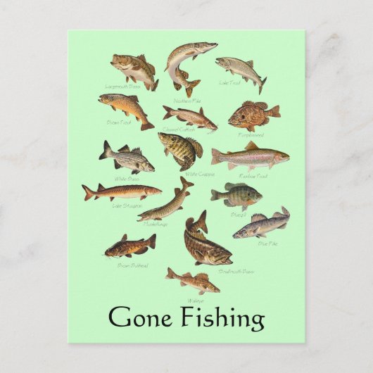 Carte postale Espèces de poisson "Gallié Fishing" (Devant)