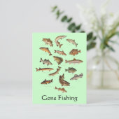 Carte postale Espèces de poisson "Gallié Fishing" (Debout devant)