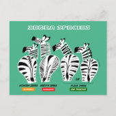 Carte postale Espèces Zebra (Devant)