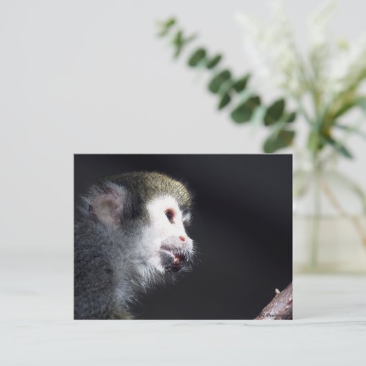 Carte postale "Espérance" (Debout devant)