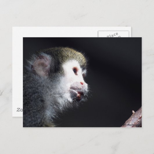 Carte postale "Espérance" (Devant / Derrière)