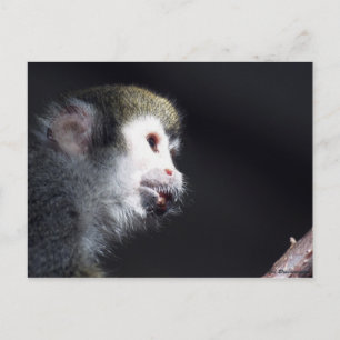 Carte postale "Espérance"