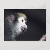 Carte postale "Espérance" (Devant)