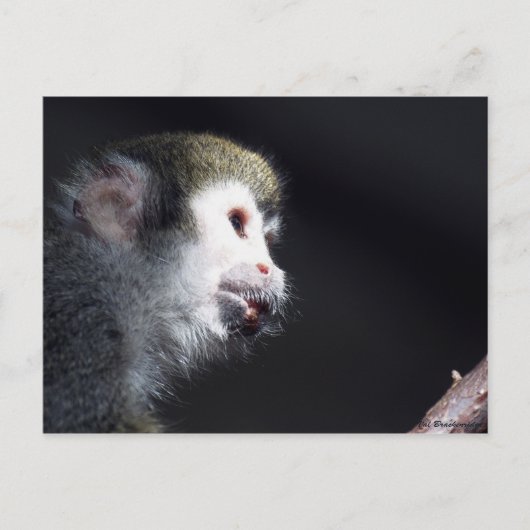 Carte postale "Espérance" (Devant)