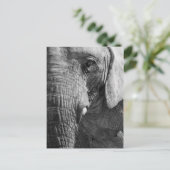 Carte Postale Espion d'oeil (Debout devant)