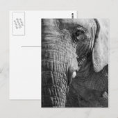 Carte Postale Espion d'oeil (Devant / Derrière)