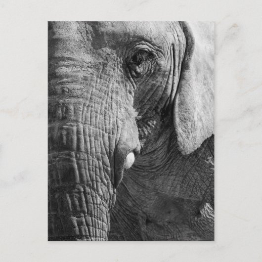 Carte Postale Espion d'oeil (Devant)