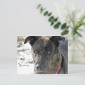 Carte Postale Espoir (Debout devant)