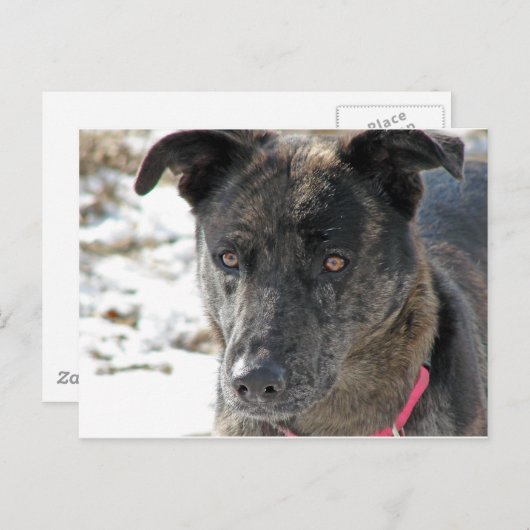 Carte Postale Espoir (Devant / Derrière)