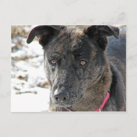 Carte Postale Espoir (Devant)