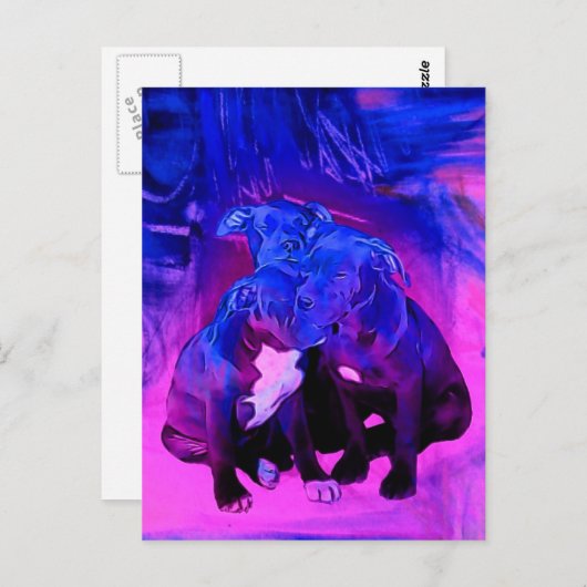 Carte Postale Espoir de foi et charité, chiens maltraités de (Devant / Derrière)