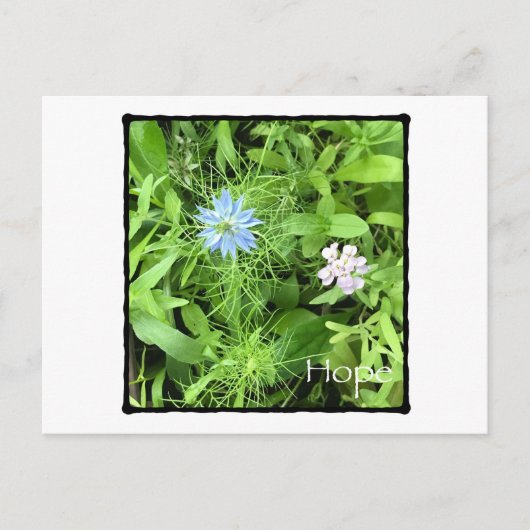 Carte Postale Espoir horizontal (Devant)