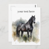 Carte Postale Esprit de l'étalon sauvage, coutume (Devant / Derrière)